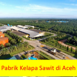 30 Daftar Nama Pabrik Kelapa Sawit di Aceh