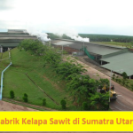 200 Daftar Nama Pabrik Kelapa Sawit di Sumatra Utara