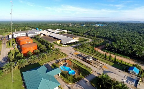Palm Oil Mill, Pabrik Kelapa Sawit di Aceh