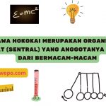 Jawa Hokokai merupakan organisasi pusat (sentral) yang anggotanya terdiri dari bermacam-macam