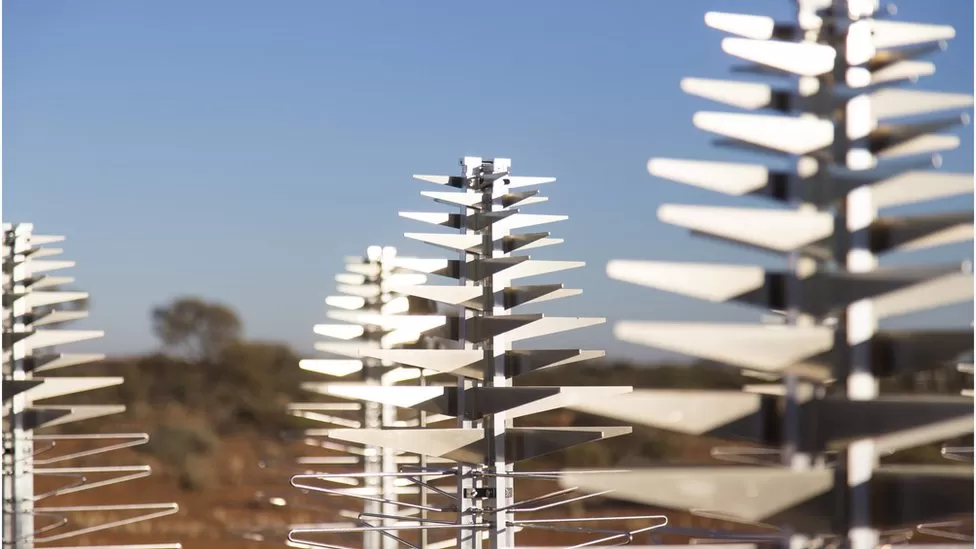 The low-frequency antennas for Australia look like Christmas trees