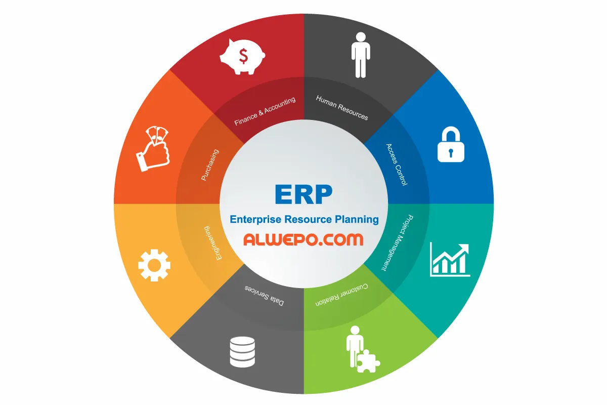 Jenis-Jenis Sistem ERP